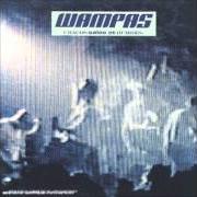 Der musikalische text TOUCHE PIPI von LES WAMPAS ist auch in dem Album vorhanden Chauds, sales et humides (1988)