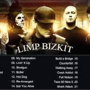 Der musikalische text WHY von LIMP BIZKIT ist auch in dem Album vorhanden Greatest hits (2005)