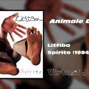 Der musikalische text LACIO DROM (BUON VIAGGIO) von LITFIBA ist auch in dem Album vorhanden Spirito (1995)