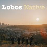 Der musikalische text WHERE LOVERS GO von LOS LOBOS ist auch in dem Album vorhanden Native sons (2021)