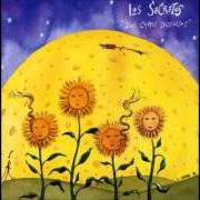 Der musikalische text LA ÚLTIMA VIDA DE UN GATO von LOS SECRETOS ist auch in dem Album vorhanden Dos caras distintas (1995)