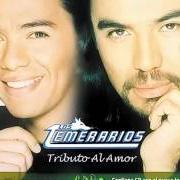 Der musikalische text TE QUIERO von LOS TEMERARIOS ist auch in dem Album vorhanden Tributo al amor (2003)