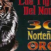 Der musikalische text LA JAULA DE ORO von LOS TIGRES DEL NORTE ist auch in dem Album vorhanden 20 nortenas famosas (2004)