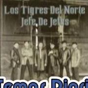 Der musikalische text EL SUCESOR von LOS TIGRES DEL NORTE ist auch in dem Album vorhanden Jefe de jefes (2012)