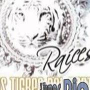 Der musikalische text EL GOLPE TRAIDOR von LOS TIGRES DEL NORTE ist auch in dem Album vorhanden Raices (2008)