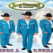 Der musikalische text MIS TRES ANIMALES von LOS TUCANES DE TIJUANA ist auch in dem Album vorhanden Corridos a quema ropa (2013)