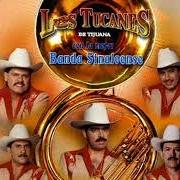 Der musikalische text LOS CHIQUINARCOS von LOS TUCANES DE TIJUANA ist auch in dem Album vorhanden Me gusta la banda (2013)