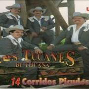Der musikalische text EL MANOS VERDES von LOS TUCANES DE TIJUANA ist auch in dem Album vorhanden 14 tucanazos bien pesados (1995)