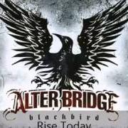 Der musikalische text LIFE MUST GO ON von ALTER BRIDGE ist auch in dem Album vorhanden Ab iii (2010)