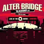 Der musikalische text SYMPHONY OF AGONY (LAST OF OUR KIND) von ALTER BRIDGE ist auch in dem Album vorhanden Live at the o2 arena + rarities (2017)