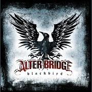 Der musikalische text WATCH OVER YOU von ALTER BRIDGE ist auch in dem Album vorhanden Blackbird (2007)