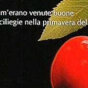 Der musikalische text LE GALLINE DEL CONVENTO DELLE SUORE DI CLAUSURA (SONO MALATE) von MARIO CASTELNUOVO ist auch in dem Album vorhanden Com'erano venute buone le ciliegie nella primavera del '42 (2005)