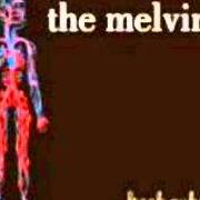Der musikalische text BABY, WON'T YOU WEIRD ME OUT von THE MELVINS ist auch in dem Album vorhanden Freak puke (2012)