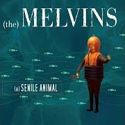 Der musikalische text RAT FACED GRANNY von THE MELVINS ist auch in dem Album vorhanden (a) senile animal (2006)