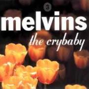 Der musikalische text DRY DRUNK von THE MELVINS ist auch in dem Album vorhanden The crybaby (2000)