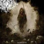 Der musikalische text HARVEST von NAGLFAR ist auch in dem Album vorhanden Harvest (2007)