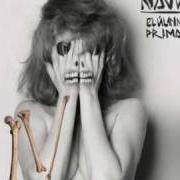 Der musikalische text JUGUÉ Y GANÉ von NAJWA NIMRI ist auch in dem Album vorhanden El ultimo primate (2010)