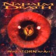 Der musikalische text THE LIFELESS ALARM von NAPALM DEATH ist auch in dem Album vorhanden Inside the torn apart (1997)