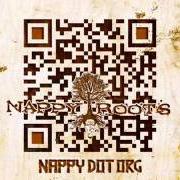 Nappy dot org