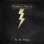 Der musikalische text SPENT von NASHVILLE PUSSY ist auch in dem Album vorhanden Up the dosage (2014)
