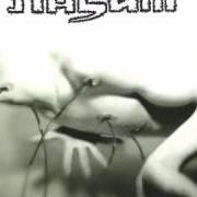 Der musikalische text RESISTANCE von NASUM ist auch in dem Album vorhanden Human 2.0 (1999)