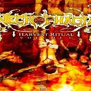 Der musikalische text DEAD SKIN SLAVE von NECROPHAGIA ist auch in dem Album vorhanden Harvest ritual vol. 1 (2005)