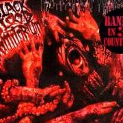 Der musikalische text BLACK BLOOD VOMITORIUM von NECROPHAGIA ist auch in dem Album vorhanden Black blood vomitorium (1999)