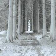 Der musikalische text SCULPTURED FOG von NEGURA BUNGET ist auch in dem Album vorhanden From transilvanian forest - demo (2002)