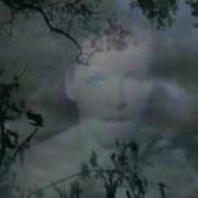 Der musikalische text PORCHLIGHT von NEKO CASE ist auch in dem Album vorhanden Furnace room lullaby (2000)
