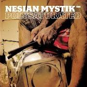 Der musikalische text BROTHAZ von NESIAN MYSTIK ist auch in dem Album vorhanden Polysaturated (2002)