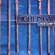 Der musikalische text WORMSONG von NIGHT IN GALES ist auch in dem Album vorhanden Nailwork (1999)