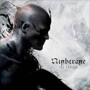 Der musikalische text SON OF SORROW von NIGHTRAGE ist auch in dem Album vorhanden The puritan (2015)