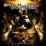Der musikalische text ...AS EVIL DESCENDS von OLD MAN'S CHILD ist auch in dem Album vorhanden Vermin (2005)