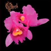 Der musikalische text IN THE MIST SHE WAS STANDING von OPETH ist auch in dem Album vorhanden Orchid (1995)