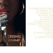 Der musikalische text NO HACE FALTA NÁ von ORISHAS ist auch in dem Album vorhanden Gourmet (2018)