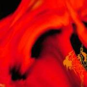 Der musikalische text LIKE FIRE TO WATER von ORPHANED LAND ist auch in dem Album vorhanden El norra alila (1996)