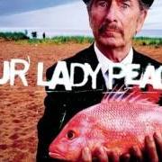 Der musikalische text LYING AWAKE von OUR LADY PEACE ist auch in dem Album vorhanden Happiness... is not a fish that you can catch (1999)