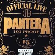 Der musikalische text THIS LOVE von PANTERA ist auch in dem Album vorhanden 101 proof - official live (1998)