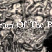Der musikalische text FLESH FROM BONE von PARADISE LOST ist auch in dem Album vorhanden The plague within (2015)