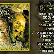 Der musikalische text PUTRESCENCE von PATHOLOGIST ist auch in dem Album vorhanden Grinding opus of forensic medical problems (1994)