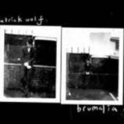 Der musikalische text PELICANS von PATRICK WOLF ist auch in dem Album vorhanden Brumalia ep (2012)