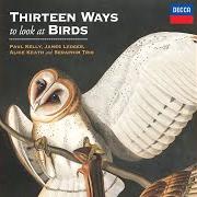 Der musikalische text THE DEATH OF THE BIRD von PAUL KELLY ist auch in dem Album vorhanden Thirteen ways to look at birds (feat. alice keath & seraphim trio) (2019)