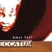 Der musikalische text (UNTITLED) von PECCATUM ist auch in dem Album vorhanden Amor fati (2000)