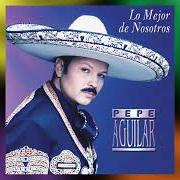 Der musikalische text SALADO von PEPE AGUILAR ist auch in dem Album vorhanden Lo mejor de nosotros (2001)