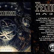 Der musikalische text SINISTER von PESTILENCE ist auch in dem Album vorhanden Doctrine (2011)