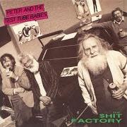 Der musikalische text TOO MANY BROKEN HEART$ von PETER & THE TEST TUBE BABIES ist auch in dem Album vorhanden The $hit factory (1990)