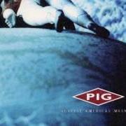 Der musikalische text SAVE ME (LOCUST REMIX) von PIG ist auch in dem Album vorhanden Genuine american monster (2002)