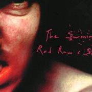 Der musikalische text THE FOUNTAIN OF FAILURE von PIG ist auch in dem Album vorhanden The swining / red raw & sore (1999)