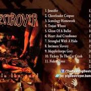 Der musikalische text GHOST OF A BULLET von PIG DESTROYER ist auch in dem Album vorhanden Prowler in the yard (2001)