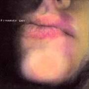 Der musikalische text O STELLA von PJ HARVEY ist auch in dem Album vorhanden Dry (1992)